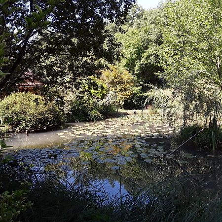 Le Chalet De La Grenouille Verte Tursac Esterno foto