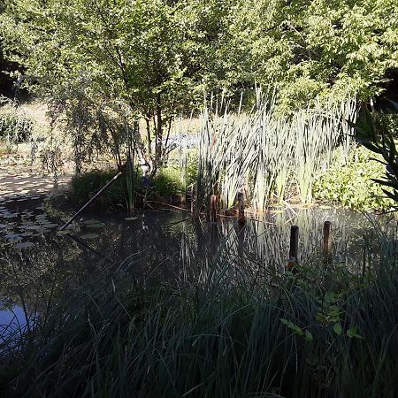 Le Chalet De La Grenouille Verte Tursac Esterno foto