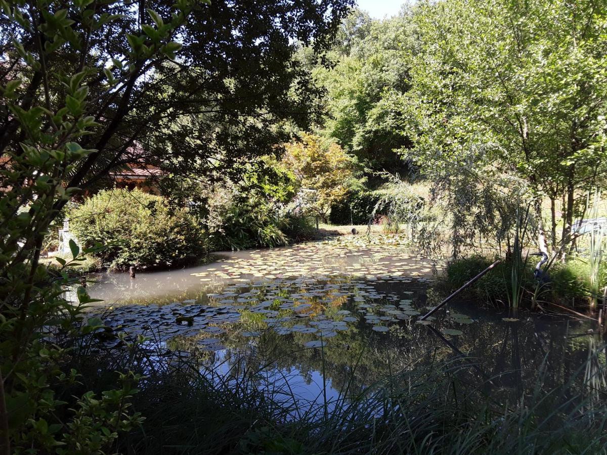 Le Chalet De La Grenouille Verte Tursac Esterno foto